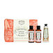 Panier des Sens Rose Géranium Krem do rąk 30 ml + SG 70 ml + BL 70 ml + Kosmetyczka W