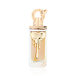 Fragrance World Allure Couture EDP 100 ml W