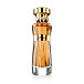 Athoor Al Alam Tanseeq EDP 100 ml U