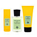 Acqua Di Parma Colonia Futura EDC 100 ml + DEO w sprayu 50 ml + SG 75 ml U