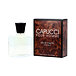 Roberto Capucci Capucci Pour Homme EDT 100 ml M