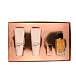 Michael Kors Gorgeous! EDP 100 ml + EDP MINI 5 ml + SG 100 ml + BL 100 ml W