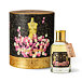 Acqua di Noto Aqua Lustralis Perfum 100 ml U