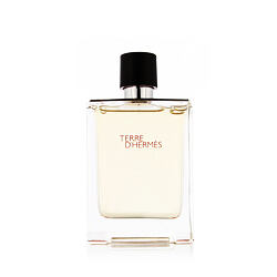 Hermès Terre D'Hermès EDT 100 ml M