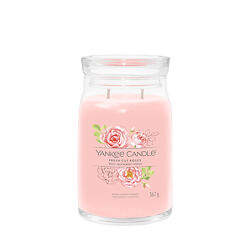 Yankee Candle świeca zapachowa Praline & Birch 567 g