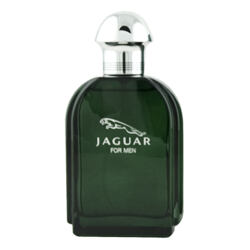 Jaguar Jaguar for Men EDT tester 100 ml M