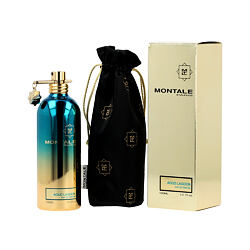 Montale Paris Aoud Lagoon EDP 100 ml U