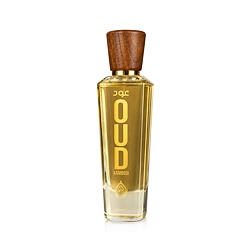 House of Perfumes Oud Kambodi EDP 100 ml U