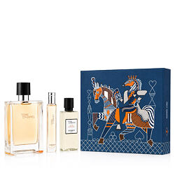 Hermès Terre D'Hermès EDT 100 ml + EDT 15 ml + żel pod prysznic do ciała i włosów 40 ml M
