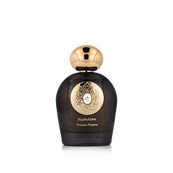 Tiziana Terenzi Hyakutake Extrait de Parfum 100 ml U