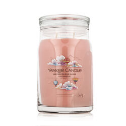 Yankee Candle świeca zapachowa Praline & Birch 567 g