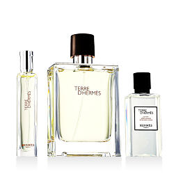 Hermès Terre D'Hermès EDT 100 ml + EDT 15 ml + woda po goleniu 40 ml M