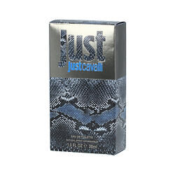 Roberto Cavalli Just Cavalli Him 2013 EDT 30 ml M