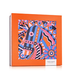 Hermès Terre D'Hermès EDT 100 ml + EDT 12,5 ml + AS 40 ml M