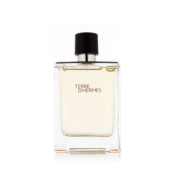 Hermès Terre D'Hermès EDT 100 ml M