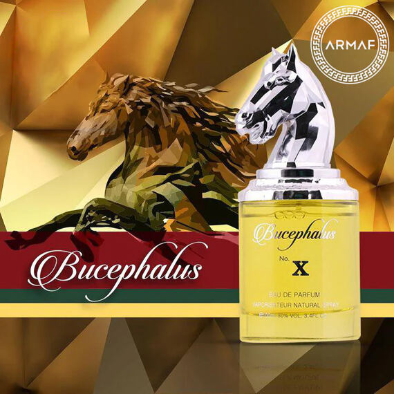 Armaf Bucephalus No. X EDP 100 ml M