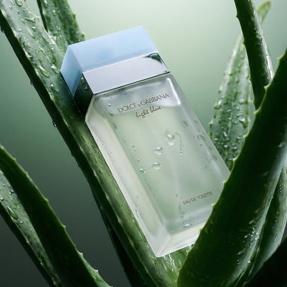 Dolce & Gabbana Light Blue EDT 50 ml W