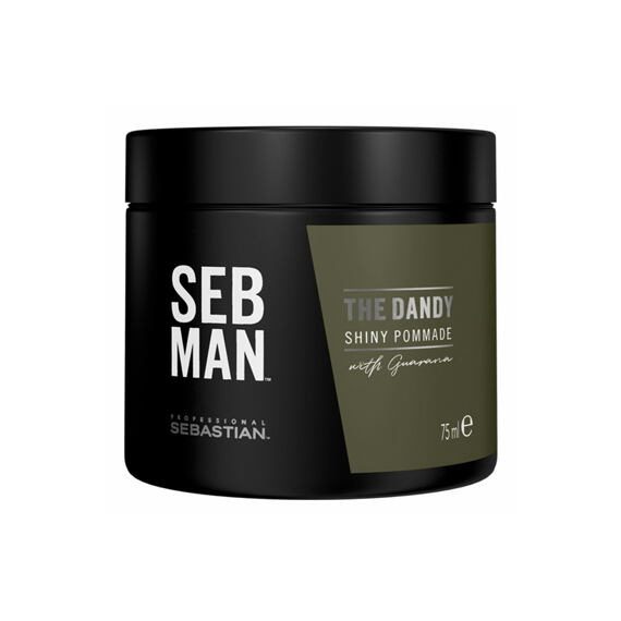 Sebastian Professional Seb Man The Dandy Pomade 75 ml