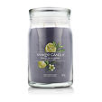 Yankee Candle świeca zapachowa Praline &amp; Birch 567 g - Black Tea & Lemon