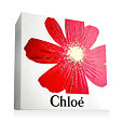 Chloé Intense EDP Intense 50 ml + BL 100 ml W