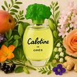Grès Cabotine de Gres EDT 100 ml W - Stare opakowanie