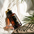 House of Perfumes Black Oud EDP 100 ml U