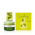 Armaf Scentasy Matcha Magix EDP 100 ml U