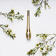 Di Angelo Cosmetics No.1 Lash Extend Serum 6 ml