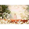 Floris Lily EDT 50 ml W