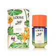 Loewe Paula&#039;s Ibiza Eclectic EDT 50 ml U