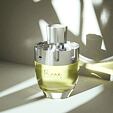Afnan Rare Carbon EDP 100 ml M