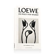 Loewe Un Paseo Por Madrid Descubriendo Colón EDP 100 ml U
