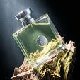 Versace Versense EDT 100 ml W