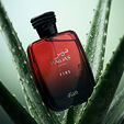 Rasasi Hawas Fire EDP 100 ml M