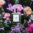 Eight &amp; Bob Annicke 2 EDP 100 ml W