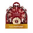Invisibobble Holiday Collection Winterful Life Set