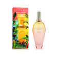 Escada Brisa Cubana EDT 100 ml W