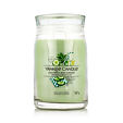 Yankee Candle świeca zapachowa Praline &amp; Birch 567 g - Cucumber Mint Cooler