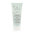Paul Mitchell Awapuhi Wild Ginger Repair Nourishing Shampoo 75 ml