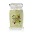 Yankee Candle świeca zapachowa Praline &amp; Birch 567 g - Iced Berry Lemonade