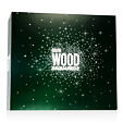 Dsquared2 Green Wood EDT 100 ml + ASB 100 ml + SG 100 ml M - Stare opakowanie