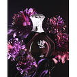 Afnan Turathi Femme Purple EDP 90 ml W