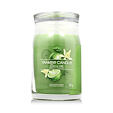 Yankee Candle świeca zapachowa Praline &amp; Birch 567 g - Vanilla Lime