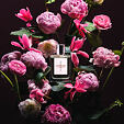Eight &amp; Bob Annicke 1 EDP 100 ml W