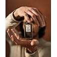 Burdin Carrure EDP 100 ml M