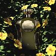 Afnan Highness X EDP 100 ml M