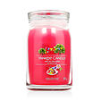 Yankee Candle świeca zapachowa Praline &amp; Birch 567 g - Art In The Park
