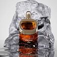 Afnan Portrait Revival Extrait de Parfum 100 ml U