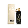 Montale Paris Oudrising EDP 100 ml U