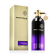 Montale Paris Oud Pashmina EDP 100 ml U